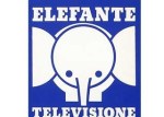 elefante marcucci