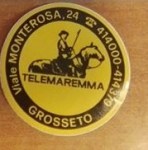 TELEMAREMMA (2)
