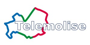 TELEMOLISE 2012