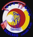 teleradio ercolano logo storico