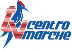 TV CENTRO MARCHE
