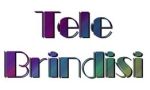 tele brindisi