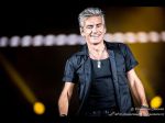 ligabue