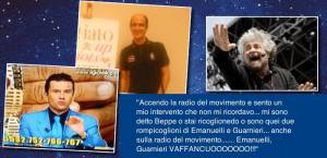 GRILLO GUARNIERI MOVI RADIO