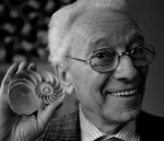 bruno munari